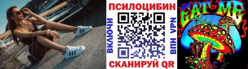 Галлюциногенные грибы GOLDEN TEACHER  купить   кракен ссылки  Кингисепп 